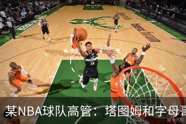 某NBA球队高管：塔图姆和字母哥的上限极高 但是球队会缺乏深度